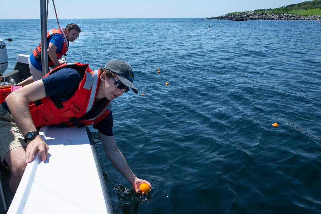 一名英国东北大学的学生倾身在水面上的一艘船的边缘，在海洋中放置一个研究设备.