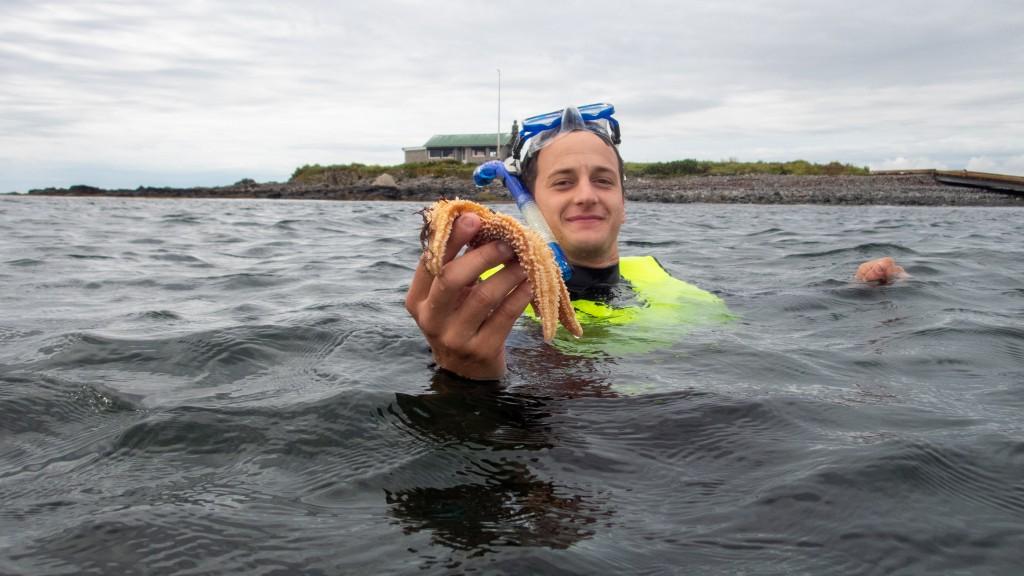 一名学生在潜水时手持海星
